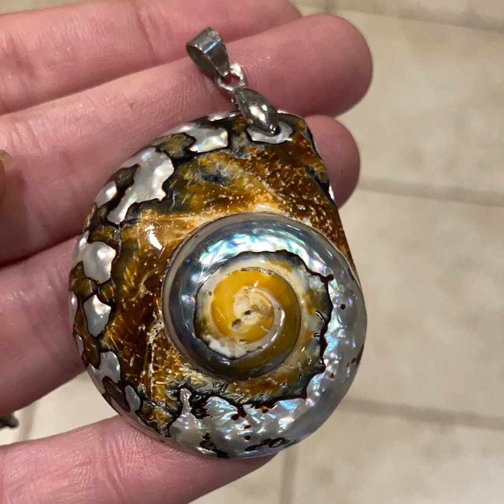 Large shell pendant